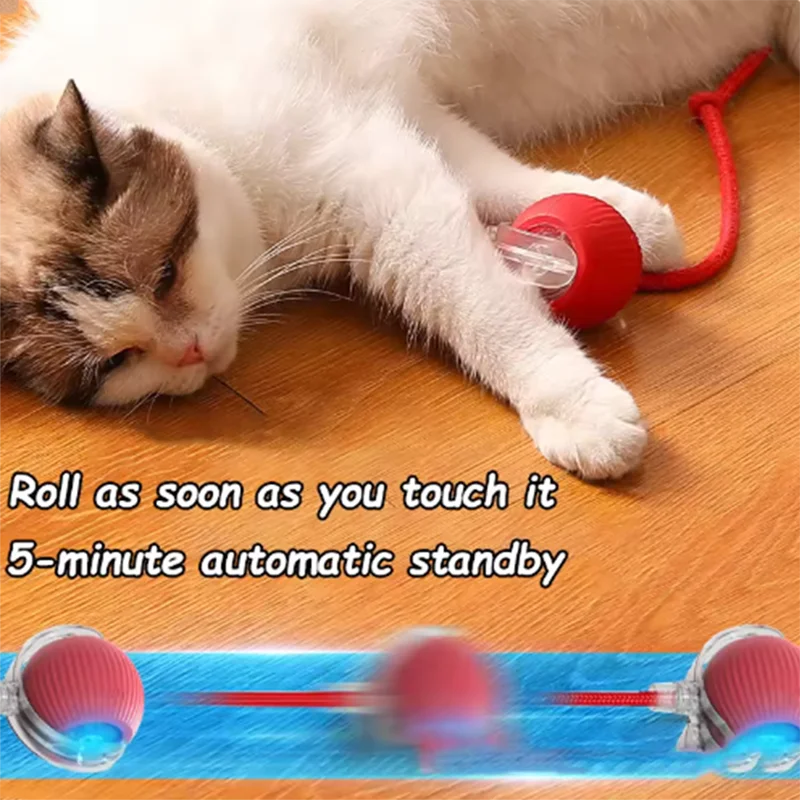 Cat Chaser Toy teasing cat balls and self-exciting cat sticks and ticks and resistant to wear and bite pet toys