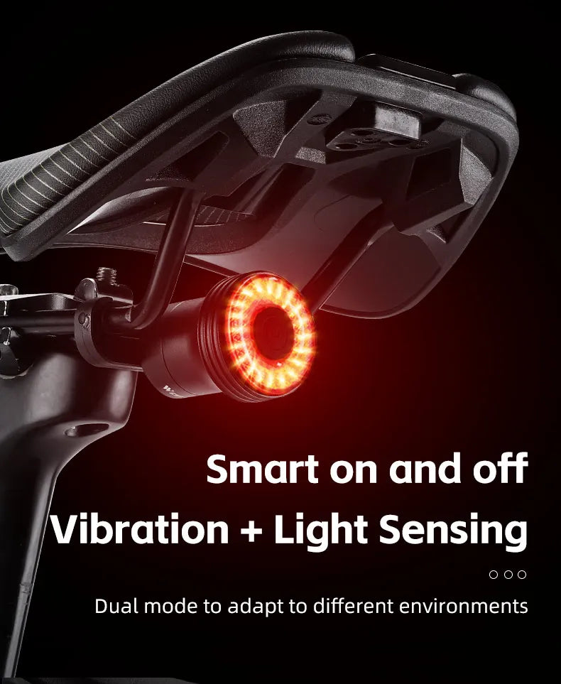 WEST BIKING Bike Tail Light Smart Sensing MTB Road Bike Rear Light  IPX6 Waterproof Type-C Charging Taillight Cycling Accessory